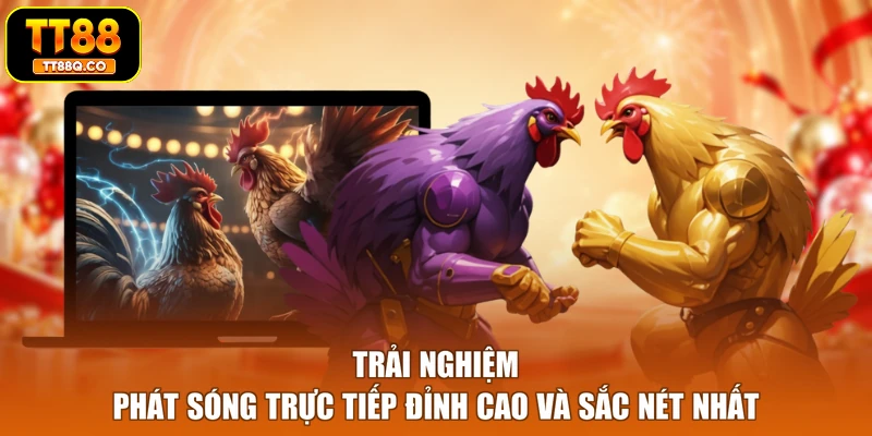 Trải nghiệm phát sóng trực tiếp đỉnh cao và sắc nét nhất